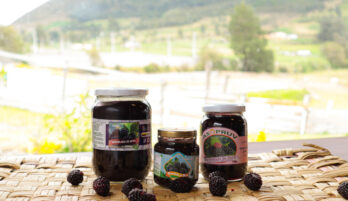 Tarro de mermelada